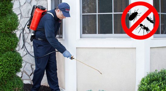 Gülşehir Böcek İlaçlama böcek ilaçlama ve haşere kontrolü — ilaclama-tr.com